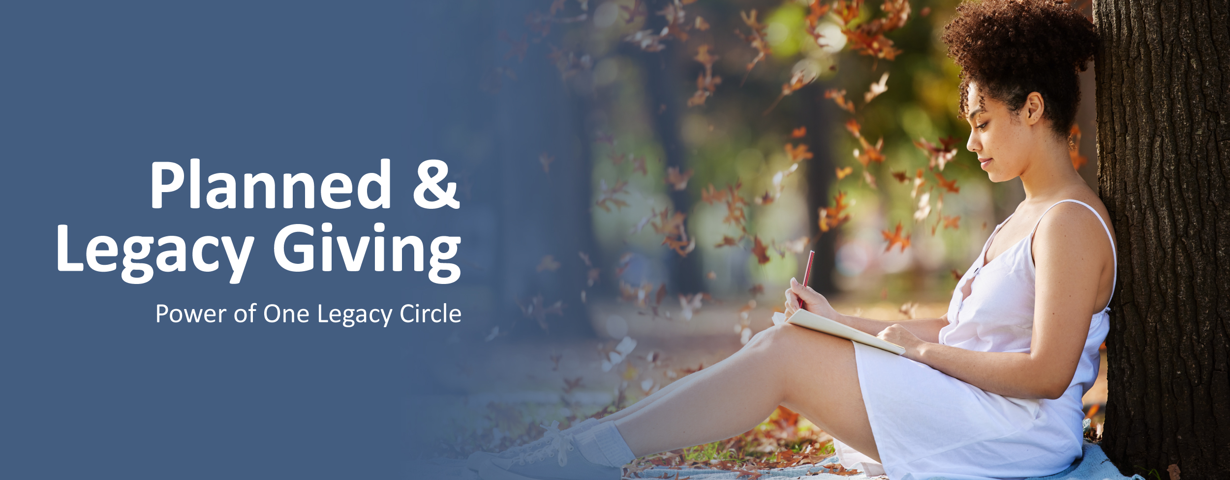 2701678_GivingPagewebheaders05_030226